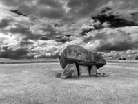 Brownshill Portal Tomb (Dolmen), Carlow